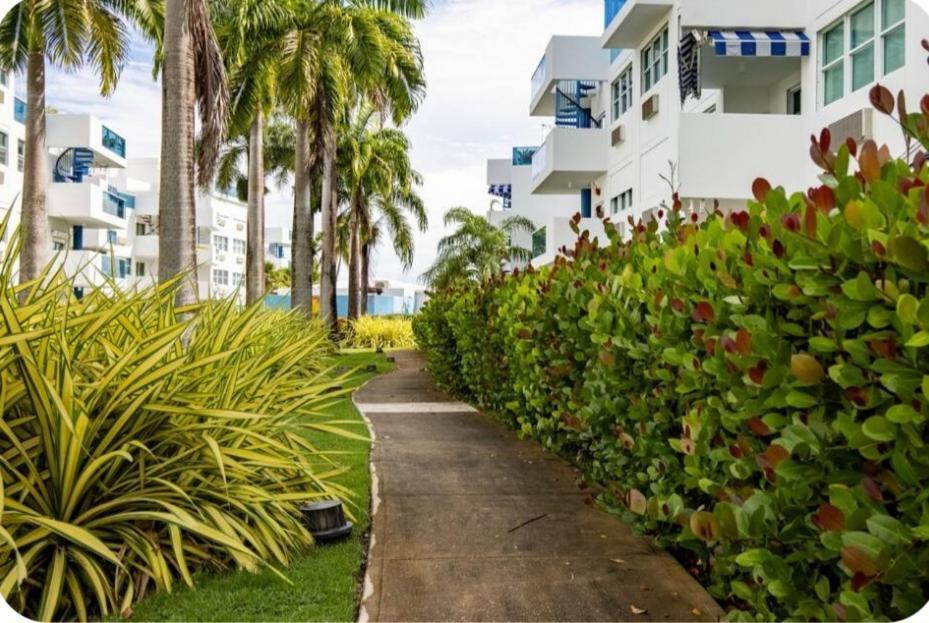 Апартаменты Breezy Nights Puerto Rico Loiza Экстерьер фото